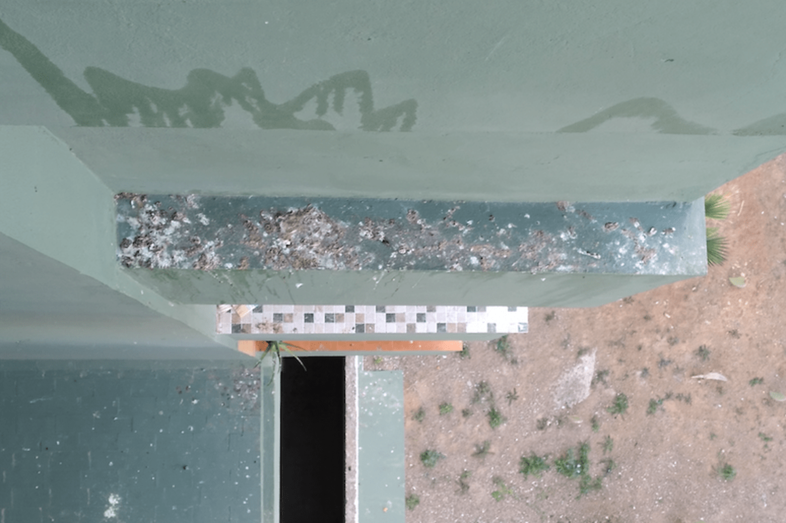 Fachadas, ventanas y balcones están llenos de excrementos (Foto TA)